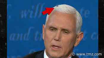 Pence, Harris Dodge Debate Questions, but Housefly Steals the Show