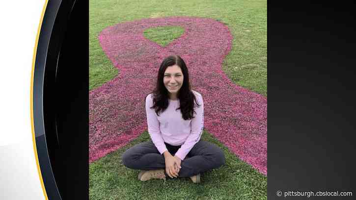 Butler Co. Man Paints 20-Foot Long Pink Ribbon For Breast Cancer Awareness Month In Yard For Fiancé Battling Cancer