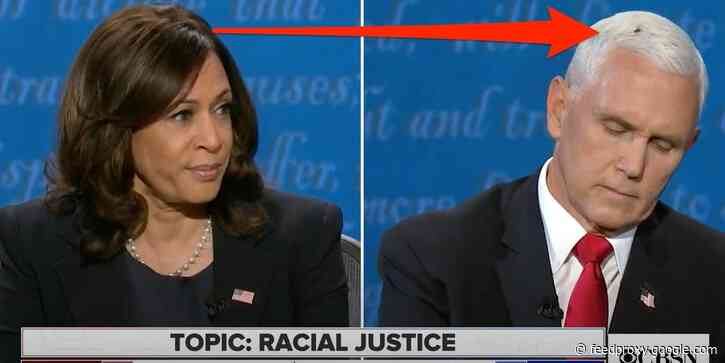The biggest moments from the 2020 vice presidential debate between Mike Pence and Kamala Harris