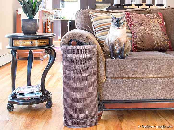 The best products to stop your cat from scratching your furniture