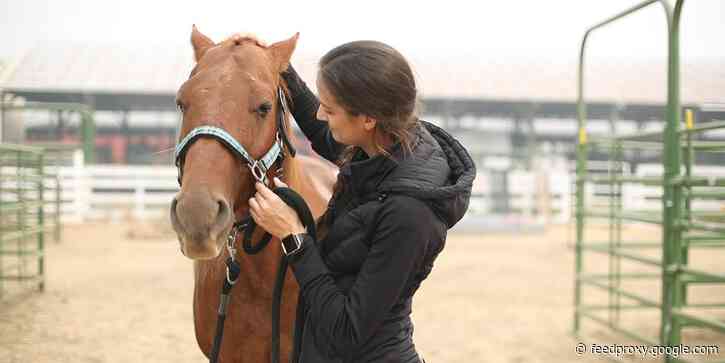 A volunteer group in Oregon has rescued 20,000 farm animals from wildfires when their owners had to evacuate