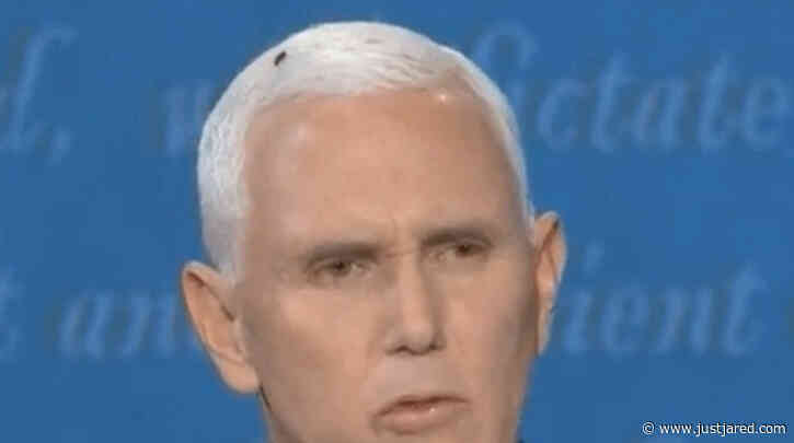 A Fly Sat on Pence's Head at the Debate & Celebs Reacted with Lots of Tweets!