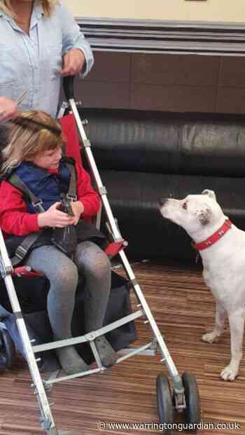 The barbershop dog whose life was turned around after being abandoned next to motorway