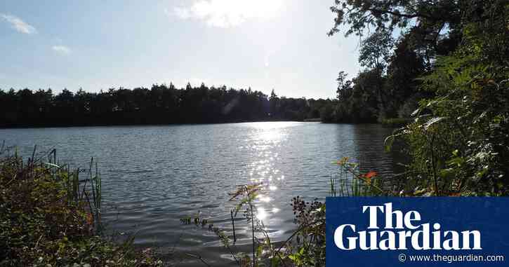 Country diary: lilies marooned from the glacial story