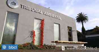 Autoridades de Coronel viajan al Tribunal Ambiental para presentar recurso contra terminal de Copec - BioBioChile