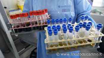 Coronavirus, scoperto a Modena il meccanismo che provoca le trombosi polmonari - il Resto del Carlino