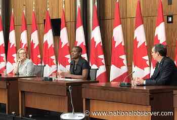 Annamie Paul wonders if Toronto byelection will still be held - National Observer