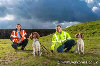 Yorkshire Water sniffs out new canine recruits