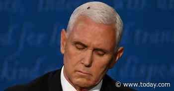 Twitter goes wild after fly lands on Mike Pence's head during debate