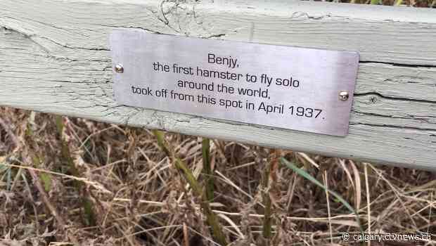 'On this day in 2020': Humorous yet factually dubious plaques reinstalled in Calgary park