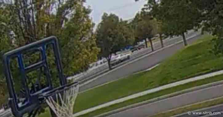 Woman arrested for tasing 9-year-old Utah boy