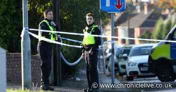 Residents tell of shock after man found dead at roadside