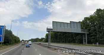 Man injured after falling from tree near M4