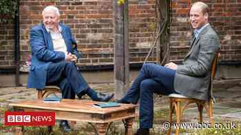 Prince William and Sir David Attenborough join forces on 'Earthshot' prize