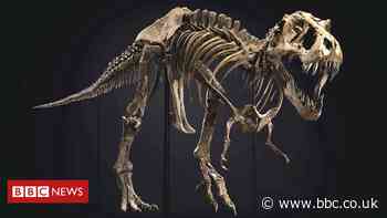 T. rex dinosaur 'Stan' sold for world record price