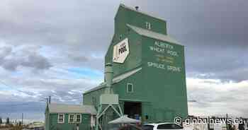 Iconic Alberta grain elevator receives historic designation in Spruce Grove