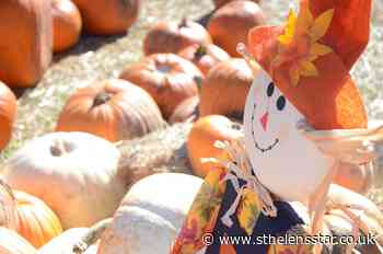 Mum launches St Helens wide scarecrow festival this Hallowe'en to help Willowbrook - and prizes are up for grabs - St Helens Star