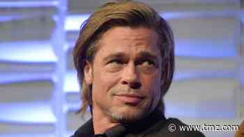 Brad Pitt Denies Contacting Woman Suing Him for Possible Catfish Situation
