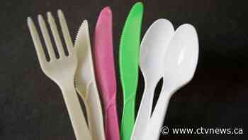 What is and is not included in Canada's ban on single-use plastics