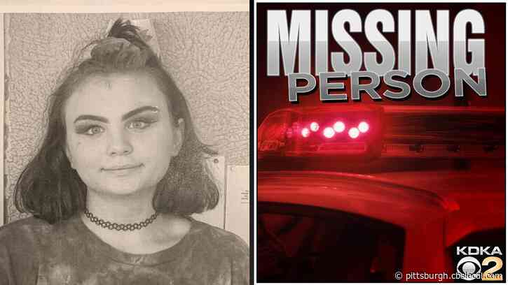 Pittsburgh Police Looking For Missing 15-Year-Old Madison Shablesky