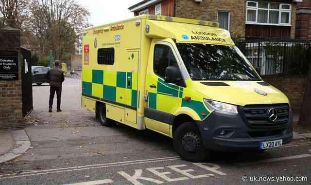Two arrested after 'cannabis sweets' make 17 school pupils fall ill