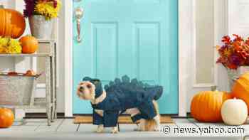 15 amazing pet Halloween costumes you need to buy
