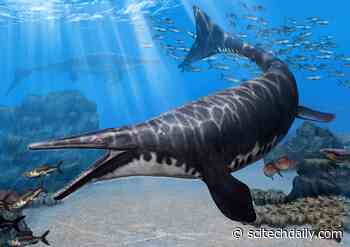 Evolved to Strike Terror: Paleontologists Identify New Species of Mosasaur