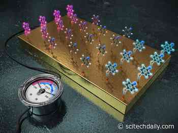 Switching Voltage of an Electrode Alone Can Fine-Tune the Reactivity of a Molecule