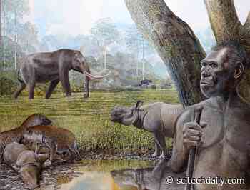 New Biochemical Research Shows Past Tropical Forest Changes Drove Megafauna and Hominin Extinctions