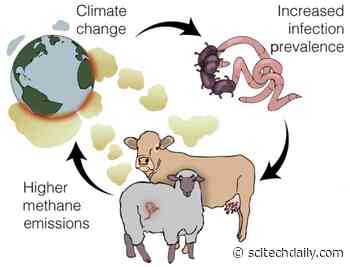 Vicious Cycle: Climate Change Spreading Infectious Diseases, Which Contribute to Climate Change