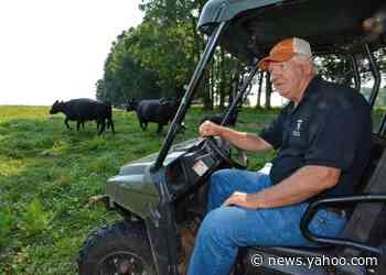 Ex-Clemson football coach Danny Ford among farmers suing SC hemp firm over ruined crop
