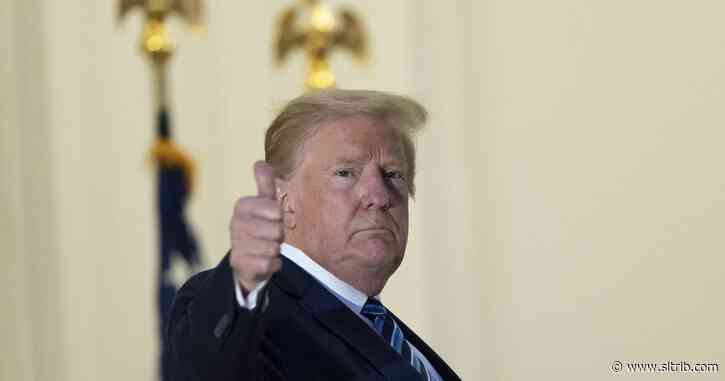 Wayne Wilson: I come to praise Trump, not to defeat him