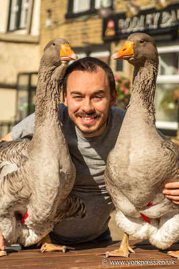 Bachelor Sven now has two birds - thanks to a visit to York