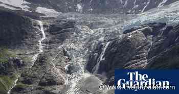 Royal Society of Biology photography competition 2020 - in pictures