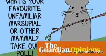 Which weird Australian fuzzy mammal you are possibly unfamiliar with is your favourite? Let’s find out! | First Dog on the Moon