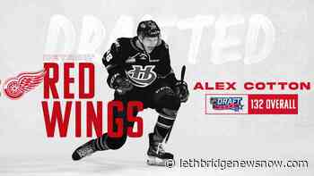 Lethbridge Hurricane Alex Cotton selected in NHL Draft - Lethbridge News Now