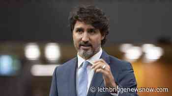 PM to announce more federal funding for food banks during pandemic - Lethbridge News Now