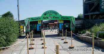 New farm shop opens at Noah's Ark Zoo Farm near Bristol stocking quality local produce - Somerset Live