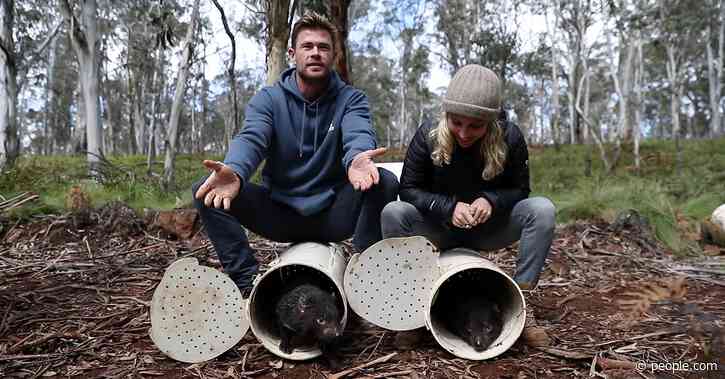 After 3,000 Years Away, Tasmanian Devils Return to Australia With Help From Chris Hemsworth - PEOPLE