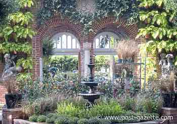 Come enjoy mums, 'Poetry of Nature' at Phipps fall flower show