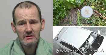 Bungling burglar caught after cigarette butt left near crime scene