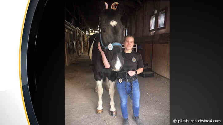 Pittsburgh Bureau Of Mounted Police Celebrate ‘Lord Stanley’s’ 9th Birthday