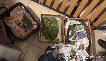 FORLI': Giornata intensa di controlli da parte della Polizia, denunciate 7 persone | FOTO - Teleromagna24