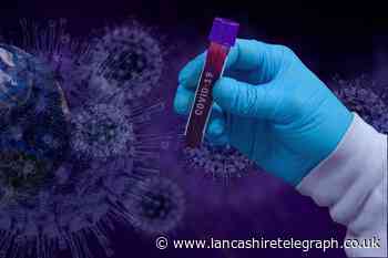 Scientists call for end to lockdown and a 'return to life as normal' using herd immunity approach