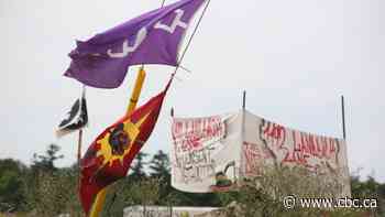 OPP says 2nd raid on Six Nations land back camp would inflame conflict, solve nothing