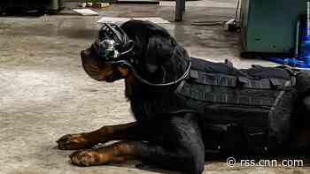 US military dogs are trialing augmented reality goggles
