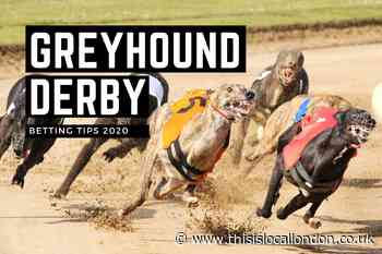 Betting tips for Greyhound Derby round 2 on Saturday