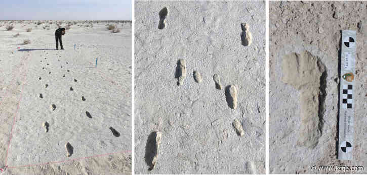 World's longest fossilized human trackway discovered at White Sands