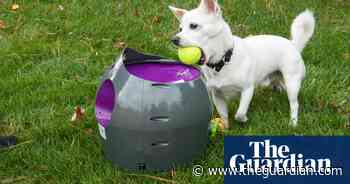 From ball launchers to activity trackers: the new breed of pet tech - The Guardian