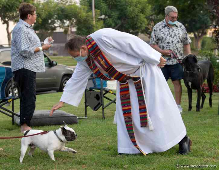 St. James Anglican pastor blesses the furry and feathered of his flock